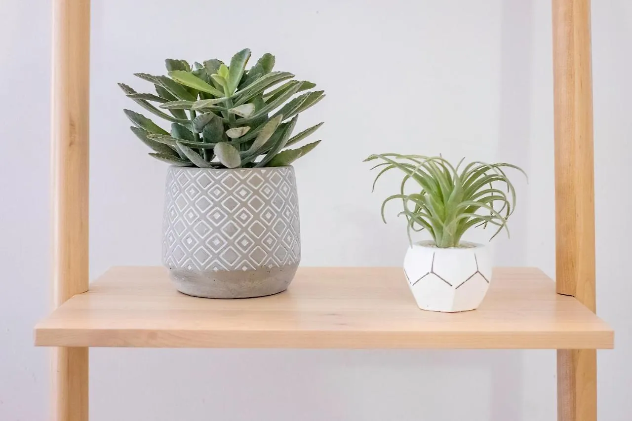 Apartmán Gaia'S Garden -Nova Decoracao! Lagos